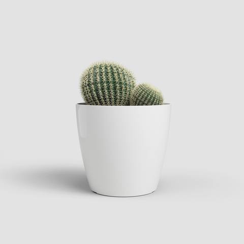 8 cm · Branco