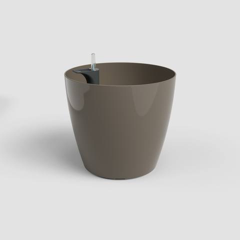 36 cm · Tortora