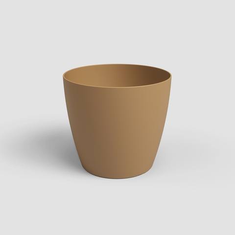 20 cm · Mostarda