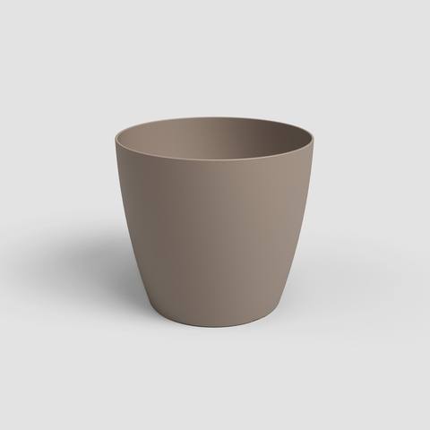 20 cm · Tortora