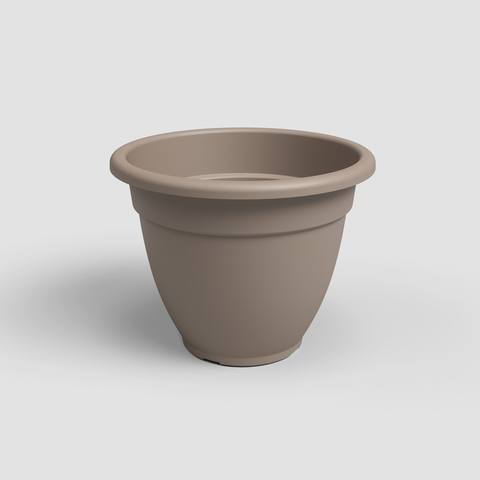 35 cm · Tortora