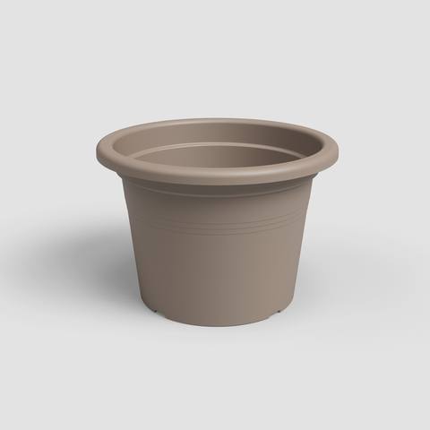 30 cm · Tortora