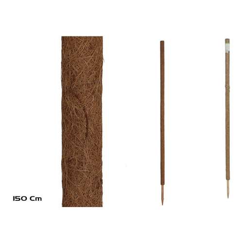150 cm