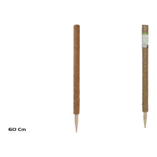 60 cm